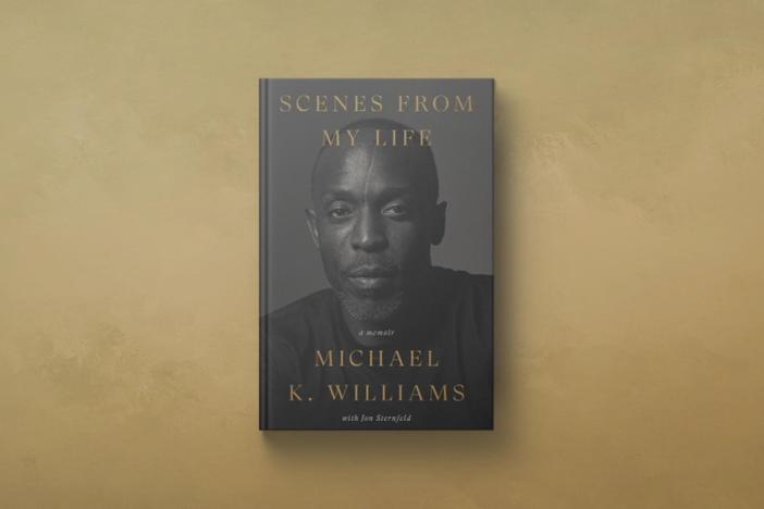 Actor Michael K. Williams' posthumous memoir details how his life informed his career