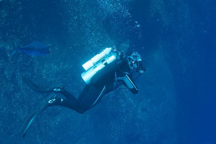 Steve and team test their dive equipment on a dive with sharks.
