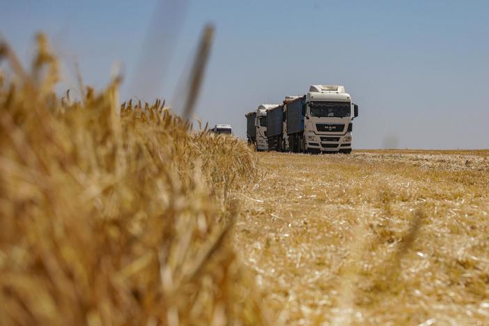 Global food security concerns reignite as clock ticks down on Ukraine grain deal
