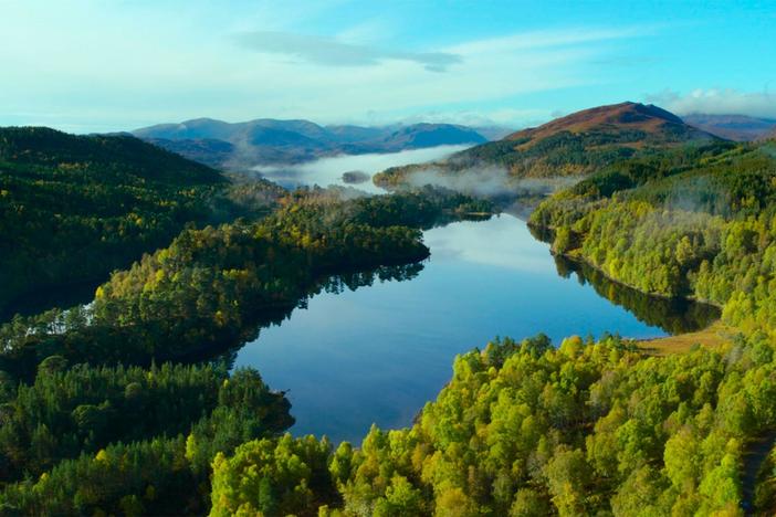 Alan Featherstone founded "Trees for Life" to help rewild the Scottish Highlands.