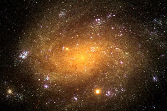 Knowing the addresses of a thousand galaxies yielded a remarkable picture of our universe.