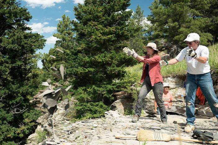 Emily Graslie and Dr. Eileen Grogan look for fossil fish in Montana.