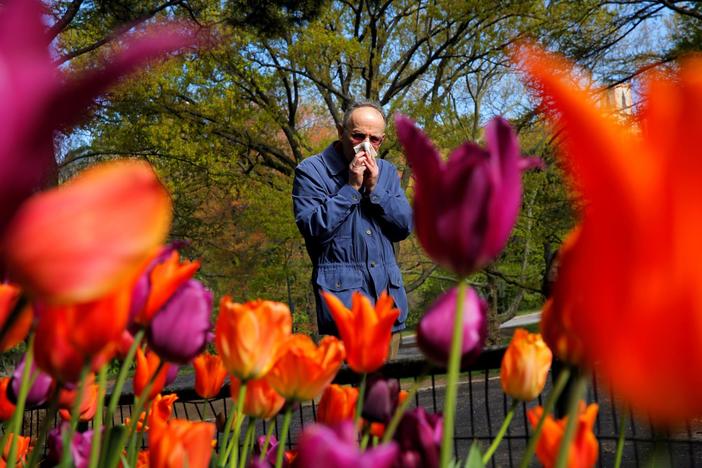 It’s not your imagination, allergy season is extra bad this year. Here’s why