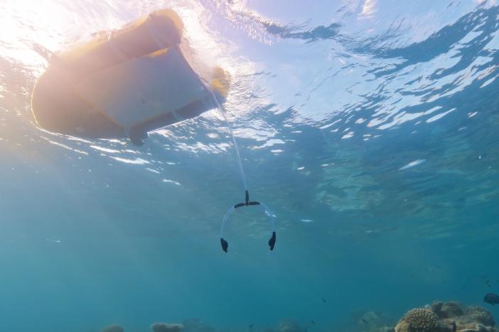 Meet Floaty Boat, the high-tech vessel ensuring precise coral larvae restoration.