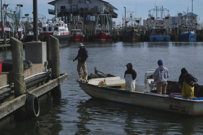 Climate change, development batter Mississippi Delta oysters
