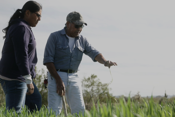 Ak-chin farming makes desert agriculture possible, and now, those practices help communities today.