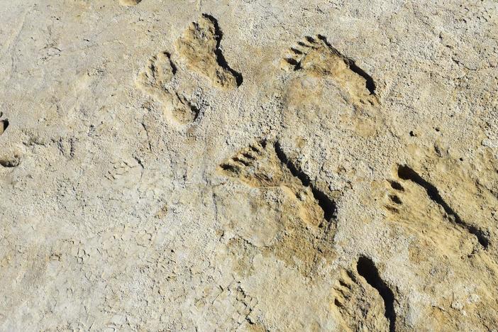 Ancient footprints provide new evidence of humans and extinct giant beasts of the Ice Age.