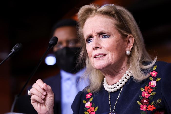 Democratic Rep. Debbie Dingell discusses her concerns with the debt deal