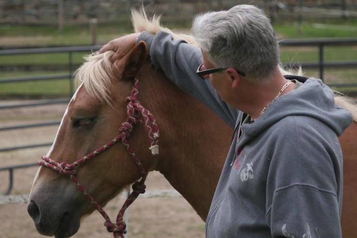 In Connecticut, these horses are helping veterans cope with the trauma of combat