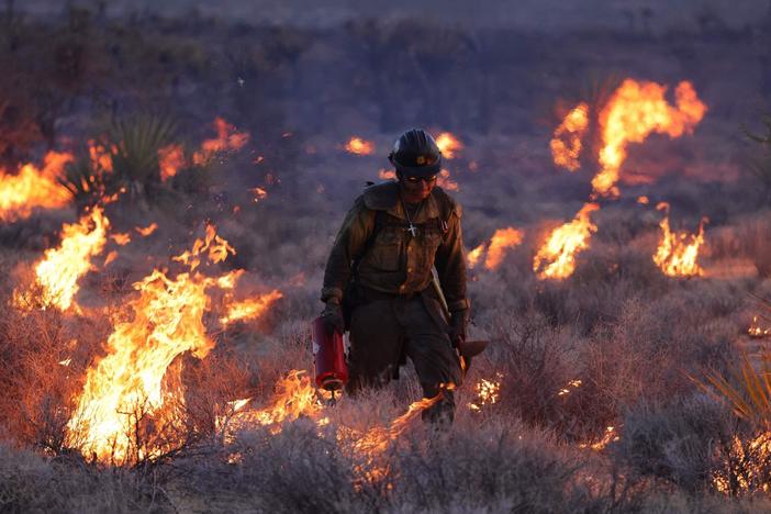 News Wrap: Massive wildfire burns in California’s Mojave National Preserve