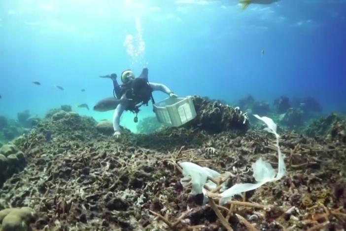 Conservationists take drastic measures to save coral reefs from climate change