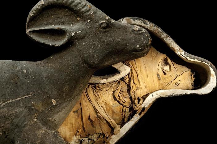 How and why did the ancient Egyptians mummify their pets and other creatures?