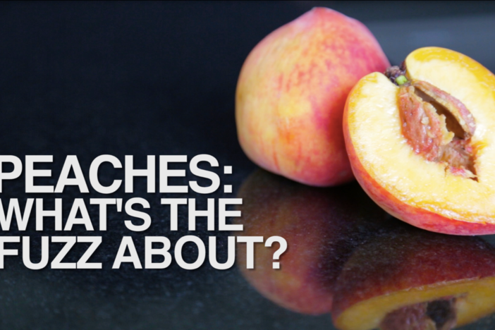 Ever wonder why peaches are fuzzy? Guess what - they could be A LOT fuzzier!