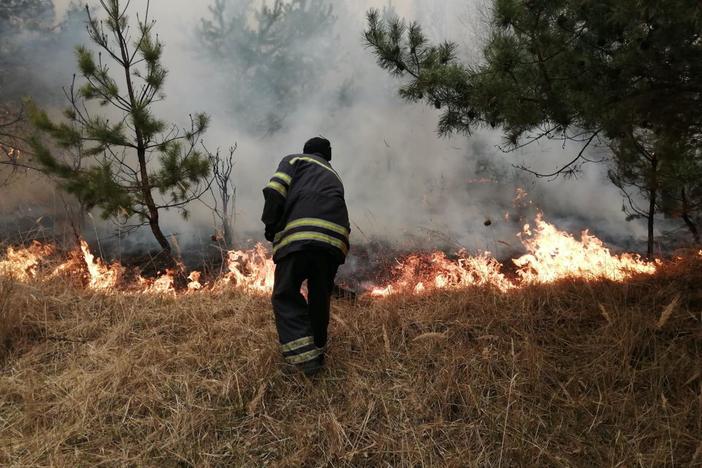 News Wrap: Ukraine wildfires cause surge in air pollution near Kiev