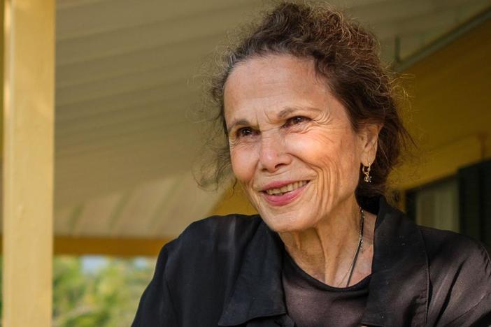 Explore the story of writer Julia Alvarez, who blazed a trail for a generation of Latino authors.