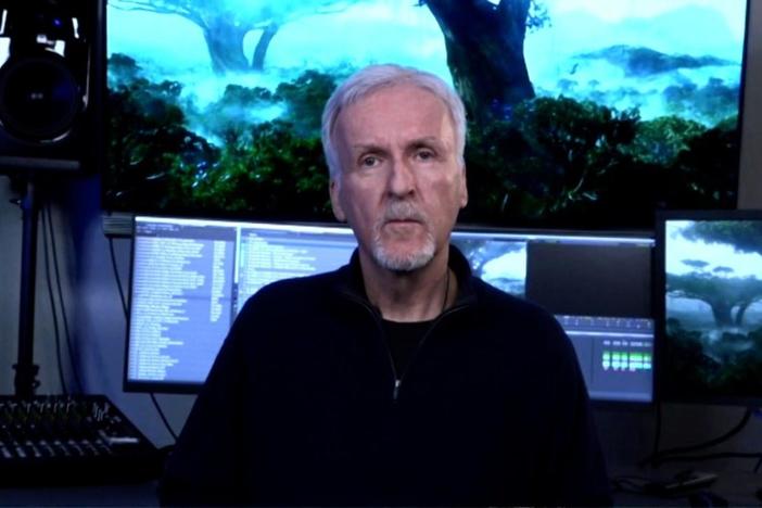 Director James Cameron's "Secrets of the Whales", an in-depth look at whale hierarchy.