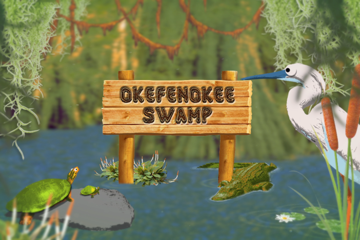 Tour the Okefenokee Swamp and interact with swamp experts during this live exploration.