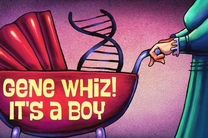 If you're curious about the origin of boys, look no further than the Y chromosome.