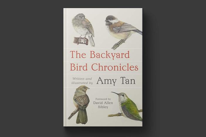 Amy Tan turns her literary gaze on the world of birds in 'The Backyard Bird Chronicles'