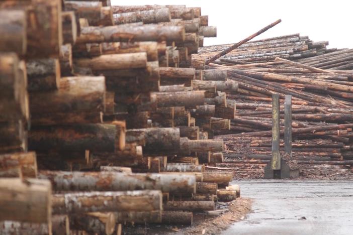 Can Oregon's timber Industry make a comeback?