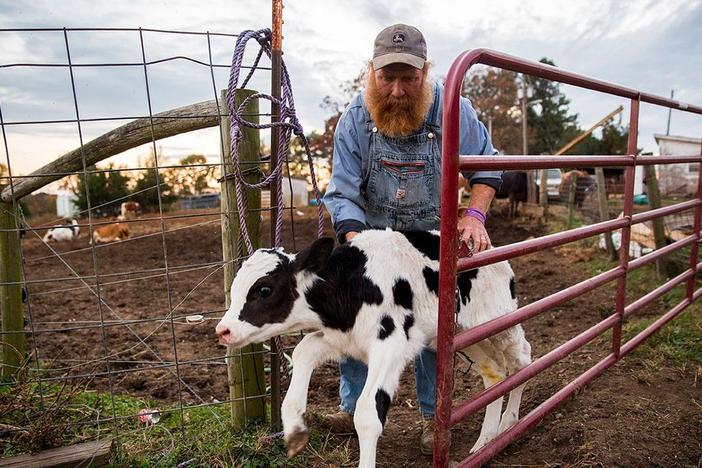 A dairy farmer fights to save both his family business & a community tradition.