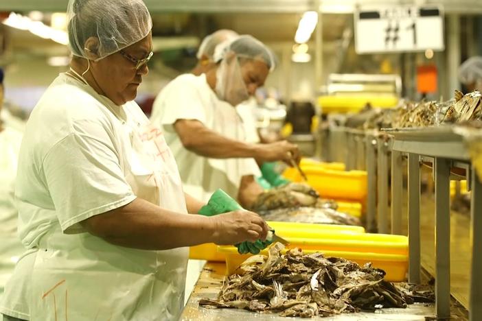Sea of obstacles imperil American Samoa’s tuna industry