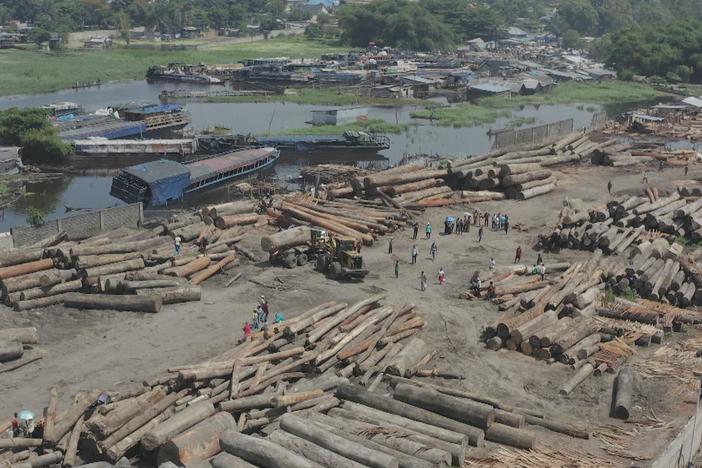 Widespread logging threatens the Congo Basin's critical rainforest