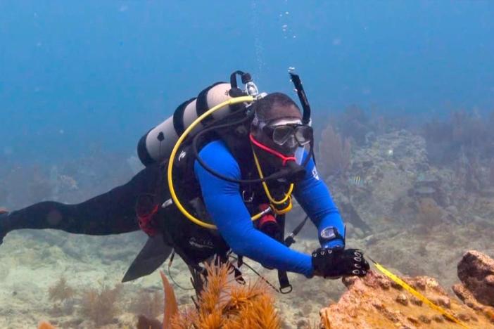 Black scuba divers explore the wreckage of slave ships and the 'untold American story'