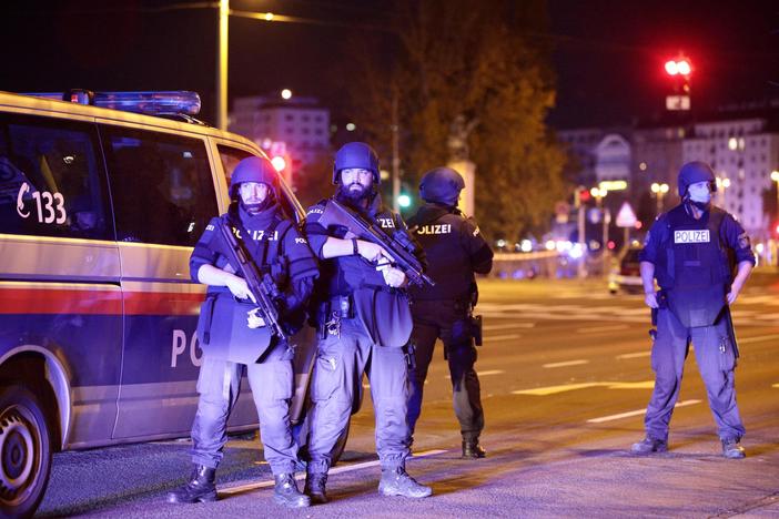 News Wrap: Austrian authorities say gunman had tried to join ISIS
