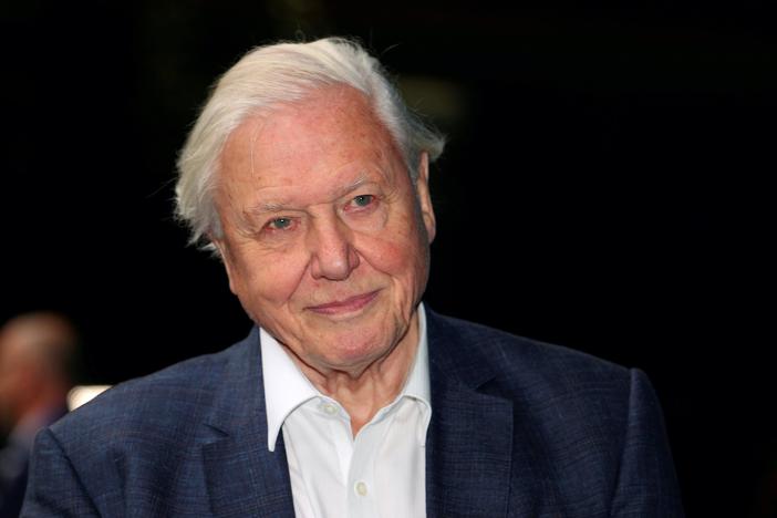 Amid planet's crisis, filmmaker Sir David Attenborough's 'vision for the future’