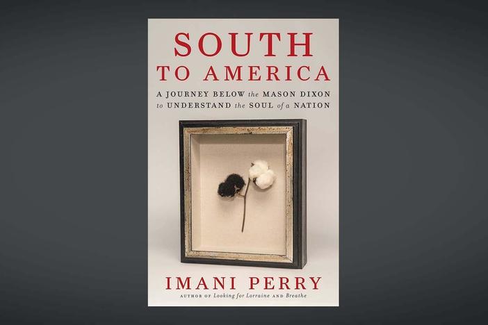 New book explores how the American South has 'done the dirty work of the nation'