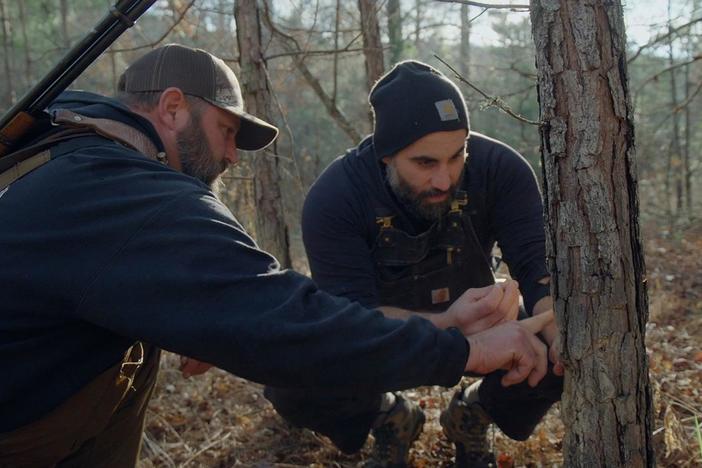 An Ozarks wild hog hunt leads to a vulnerable reunion for an Iranian American and childhood friend.
