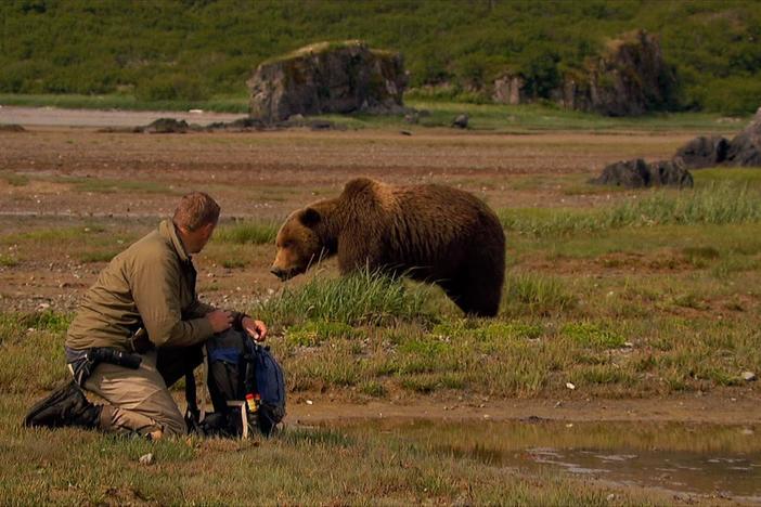 Grizzly Battleground (Full Episode)  Alaska's Grizzly Gauntlet 