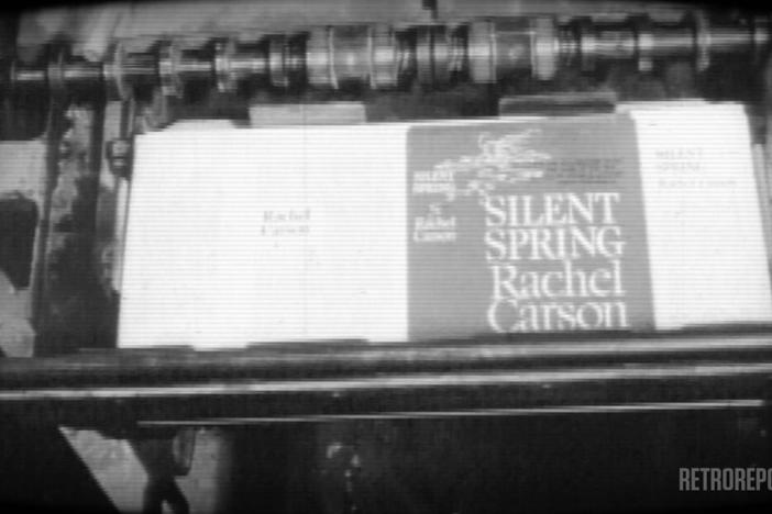 In 1963, Rachel Carson’s Silent Spring sparked a government investigation into pesticides