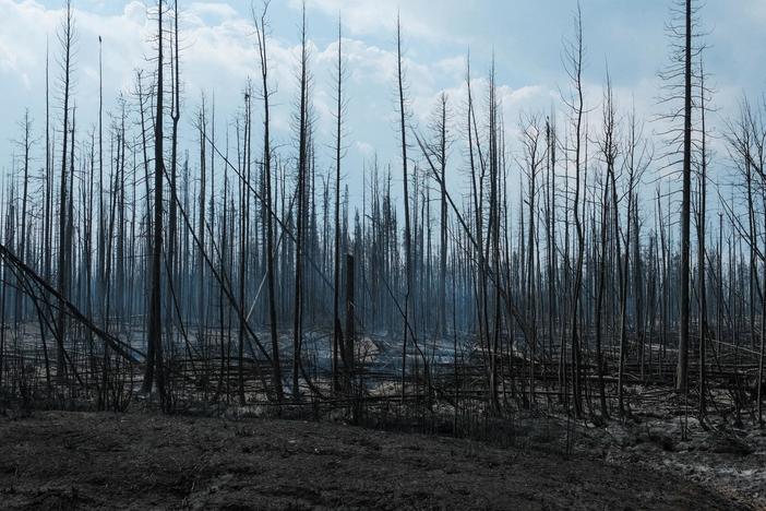 News Wrap: Firefighters have success holding back wildfire threatening Yellowknife