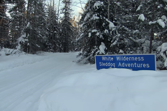 Warmer winters put Minnesota dog sledding at risk