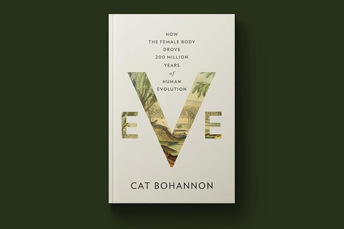 New book 'Eve' dispels myths about human evolution and details female body's role