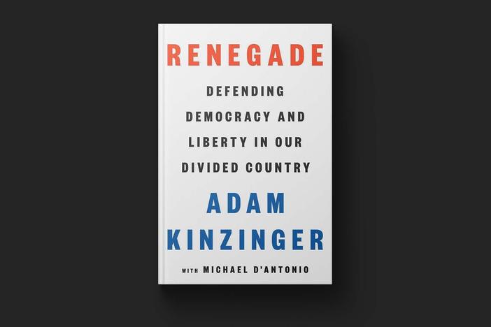 Former Rep. Kinzinger reflects on GOP and future of democracy in 'Renegade'