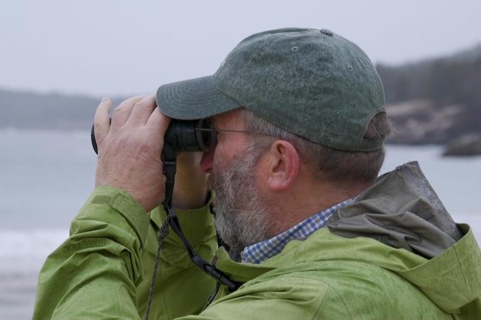 A year in the life of Acadia National Park’s birds