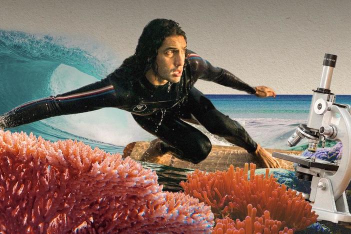 Baratunde meets a surfer scientist in Hawaii who is trying to protect the corals reefs.