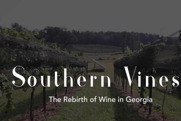 Southern Vines is a documentary that explores the rebirth of the wine industry in Georgia.