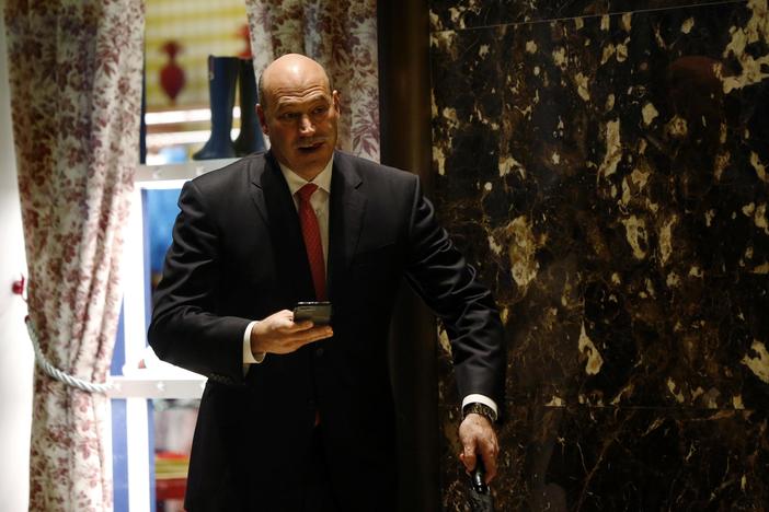 Trump picks Goldman Sachs president Gary Cohn to head the National Economic Council.