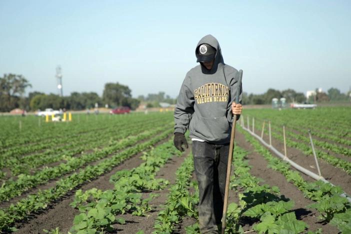 California farmworker housing rules force seasonal moves, upending Latinx students' education.