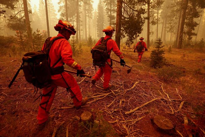 California prison inmates become a critical resource for fighting wildfires