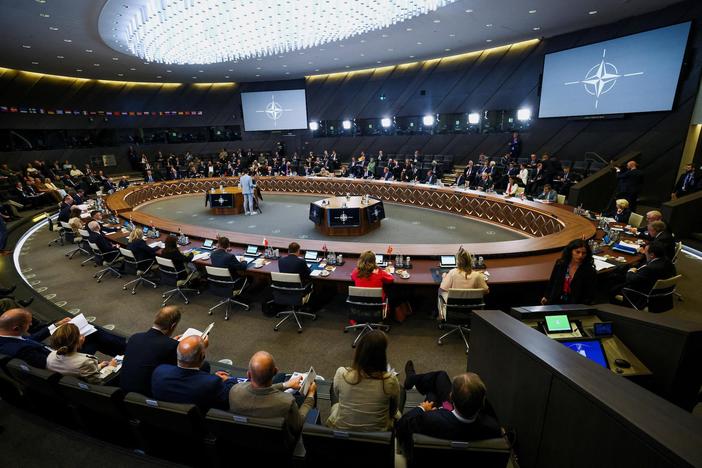 The debate over Ukraine's potential admission to NATO