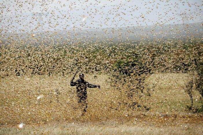 The pandemic threatens the people of East Africa -- and now locusts threaten their food
