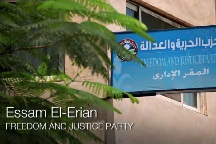 Essam El-Erian says his party is looking for the "long-term cure" to Egypt's problems.