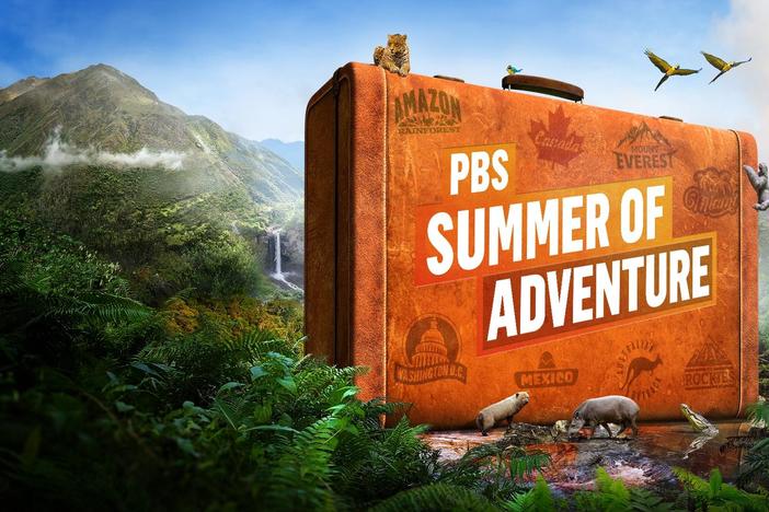 This Summer, PBS brings you the world.