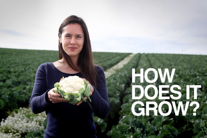 Farmers do WHAT to keep our cauliflower white? See how food waste begins in the field.
