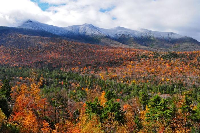 Explore the wonder of fall in New England and why it captures the essence of the season.